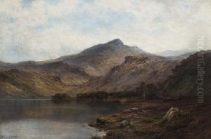 Herder Tending Cattle In The Highlands