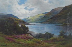 Summer Morning Above Loch Ness