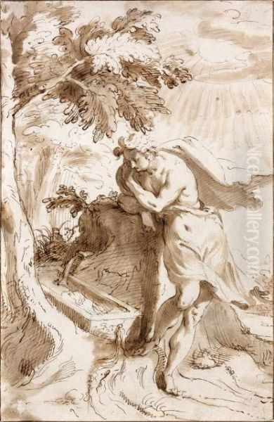 Narcisse A La Fontaine Oil Painting by Peter De Jode