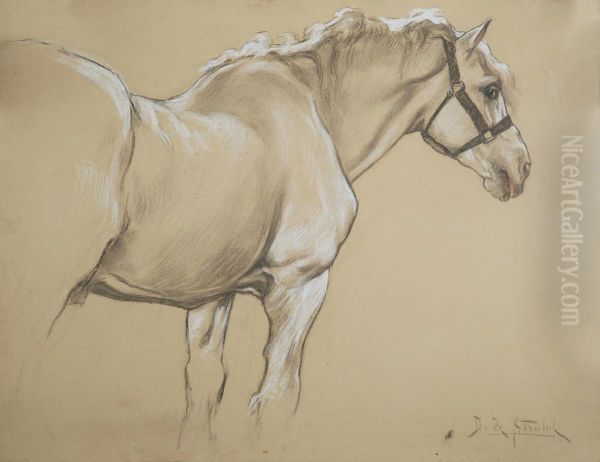Stallone Percheron Oil Painting by Daniele De Strobel