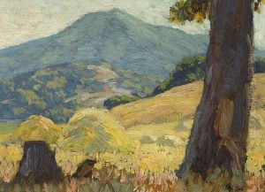 Mt. Tamalpais From Greenbrae, Marin County