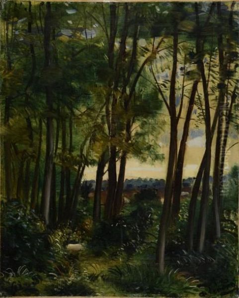 Sous-bois Oil Painting by Andre Derain