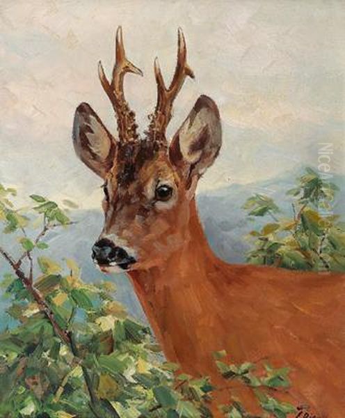 Rehbock Zwischen Zweigen Oil Painting by Erich Dichtl