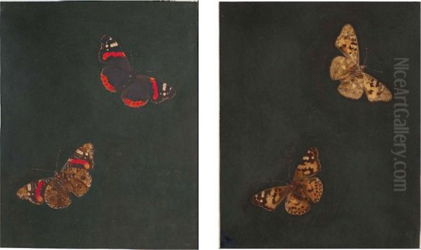 Lady Butterfly Seen From Above And Below Oil Painting by Barbara Regina Dietzsch