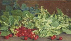 Cherries And Branches Of Blossom On A Table