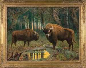 Bisons