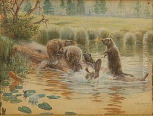 The Beaver Dam