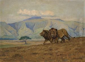 ''lions In The Ngora Ngora Crater''