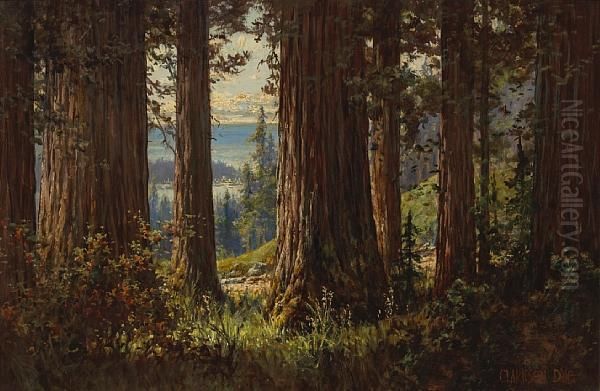 View Through The Trees Oil Painting by Clarkson Dye