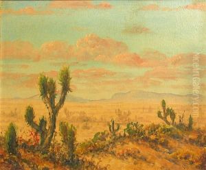 Desert View