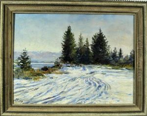 Starnberger Winterlandschaft Mit Tannen Und Blick Auf Die Alpen In Der Ferne
