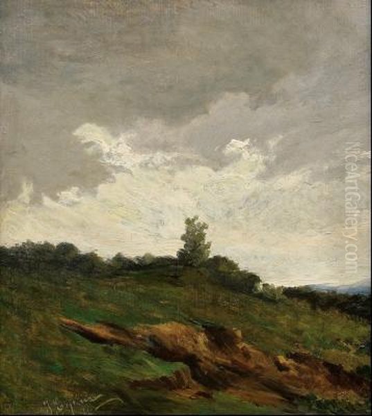 Paisaje Nublado Oil Painting by Juan Espina Y Capo