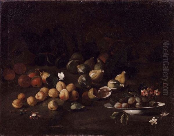 Natura Morta Con Susine, Fichi E Fiori Oil Painting by Giacomo Fardella