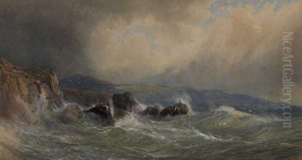 Rocky Headland, County Mayo Oil Painting by John Faulkner