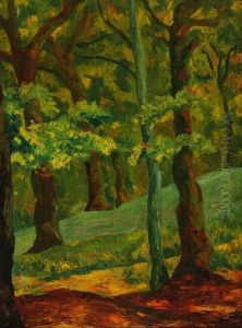 View Of A Forest Interior