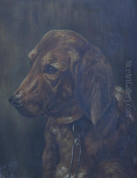 Portrait Of A Red Setter Oil Painting by Alexander M. Fleming