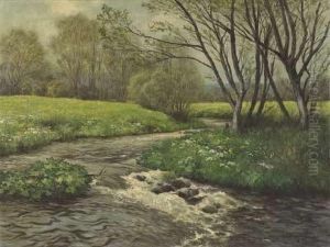Wiese Mit Bachlauf
