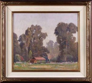 Landscape With Eucalyptus Trees