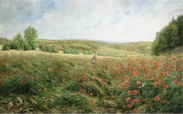 A Field Of Flowers Oil Painting by Arthur Gaillard