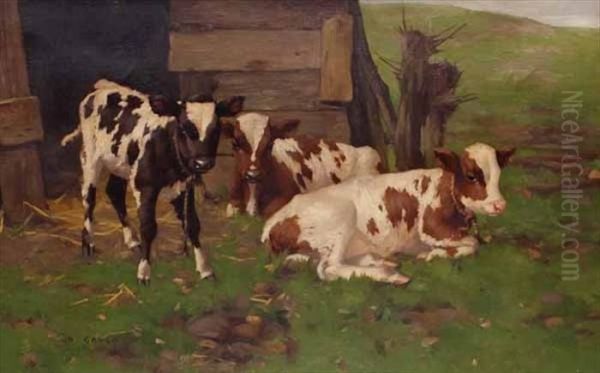 Three Calves Oil Painting by David Gauld