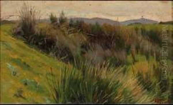 Paesaggio Con Sterpaglie Oil Painting by Luigi Gioli