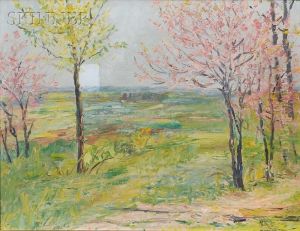 California Landscape