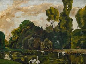 Lake Of Swans