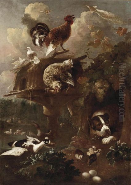 A Rooster, Two Doves And A Partridge Oil Painting by Jan Griffier