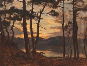 Etang De Laprade (landes)