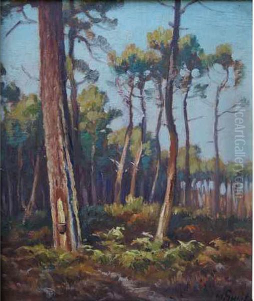 Pins Landais Oil Painting by Louis Marius Gueit