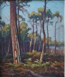 Pins Landais