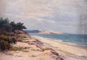 La Dune Du Pyla, Bassin Darcachon