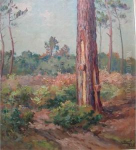 Pins Des Landes