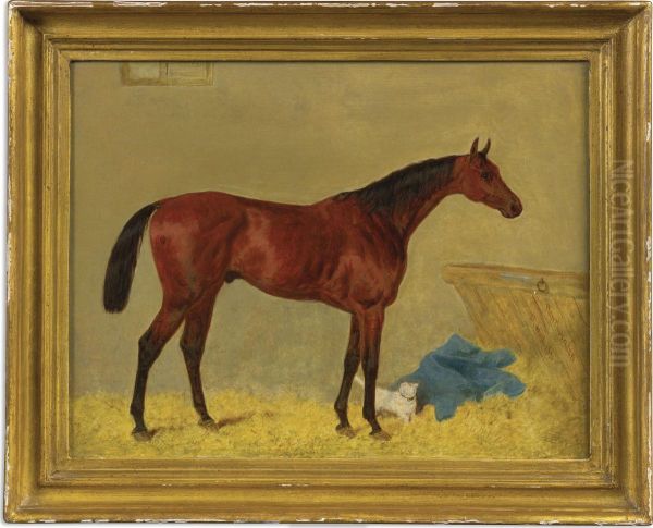 Hawthornden With Cat In A Stable, Property Of Mr. T.v. Morgan Of Chelsea Oil Painting by Harry Hall
