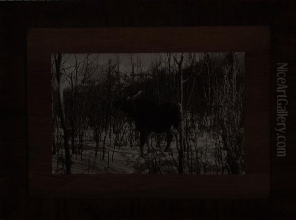 Moose In Snow Oil Painting by Byron Harmon