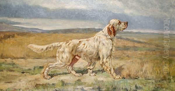 Portrait Of Wild Nero, An English Setter Oil Painting by A. Hayer