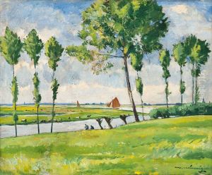 Sommerliche Niederrheinlandschaft