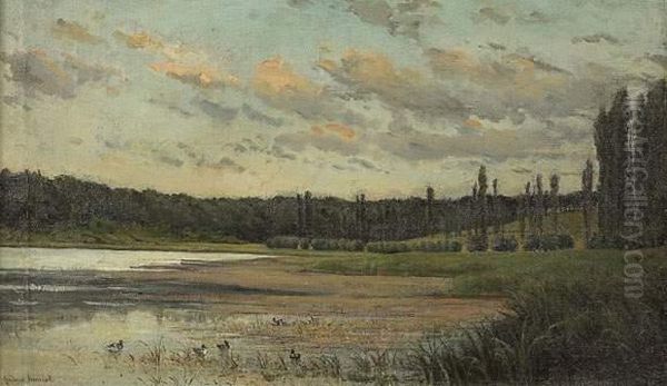 Canards Sur La Rive Oil Painting by Frederic Henriet