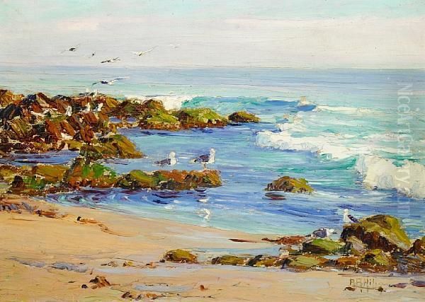 Gulls At Play Oil Painting by Anna Althea Hills