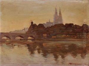 Blick Auf Regensburg