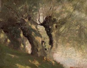 Aulandschaft (an Der Pram)