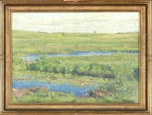 A Danish Summer Landscape