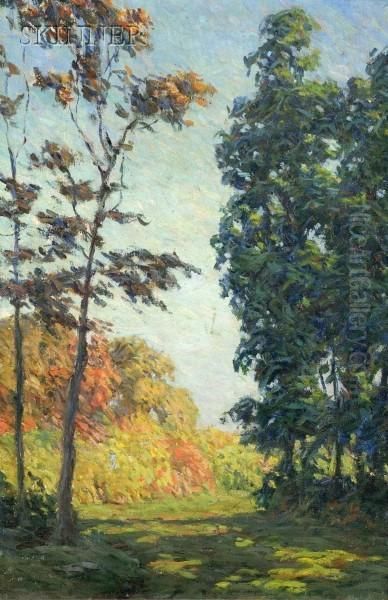 Sun Through The Trees Oil Painting by Marion P. Howard