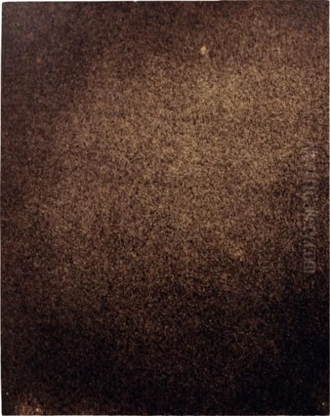 Photographie De La Surface Solaire Oil Painting by Jules Janssen