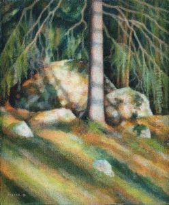 Rocks In A Forest