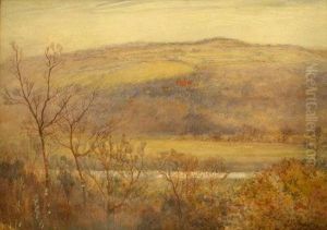 Landscape Views