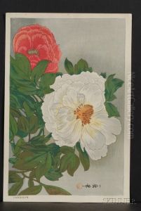 Peonies