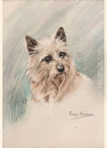 A Norwich Terrier
