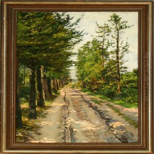 A Dirtroad Through Asummer Forest