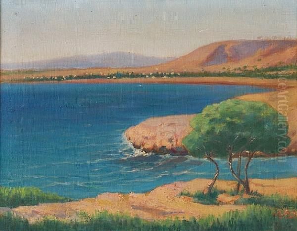 View Of Varkiza Oil Painting by Grivas Lambros
